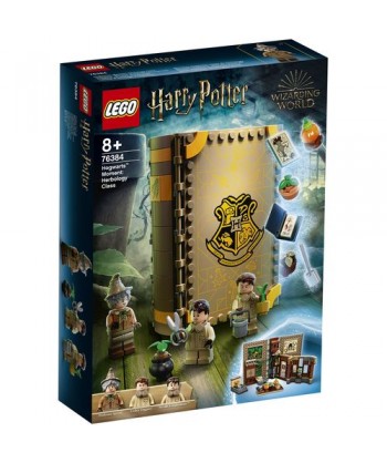 LEGO Harry Potter 76384...